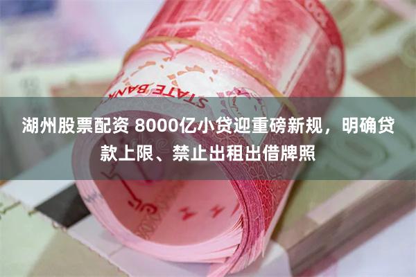 湖州股票配资 8000亿小贷迎重磅新规，明确贷款上限、禁止出租出借牌照