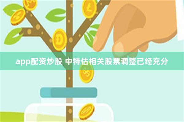 app配资炒股 中特估相关股票调整已经充分