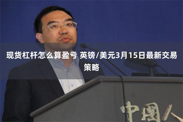 现货杠杆怎么算盈亏 英镑/美元3月15日最新交易策略