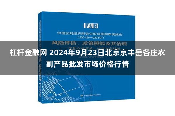 杠杆金融网 2024年9月23日北京京丰岳各庄农副产品批发市场价格行情