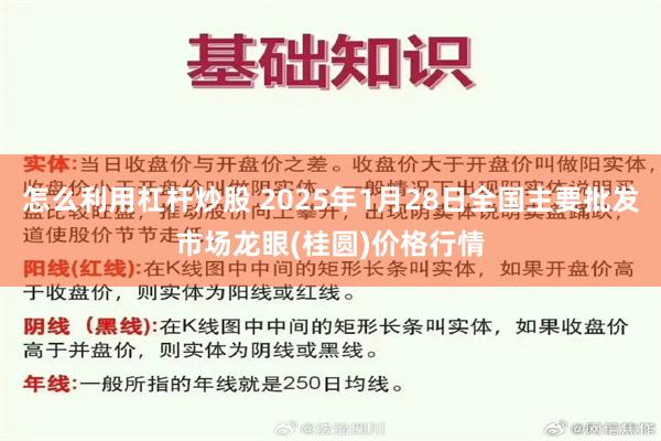 怎么利用杠杆炒股 2025年1月28日全国主要批发市场龙眼(桂圆)价格行情