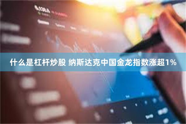 什么是杠杆炒股 纳斯达克中国金龙指数涨超1%