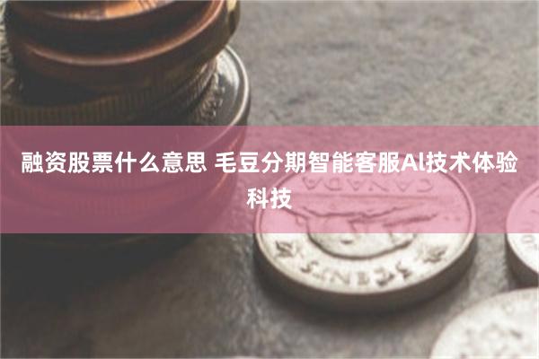 融资股票什么意思 毛豆分期智能客服Al技术体验科技