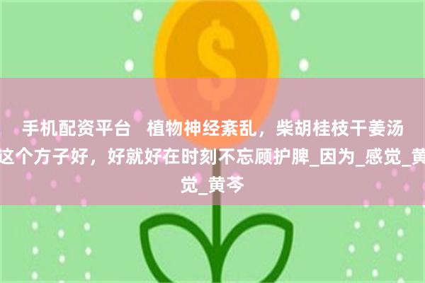 手机配资平台   植物神经紊乱，柴胡桂枝干姜汤，这个方子好，好就好在时刻不忘顾护脾_因为_感觉_黄芩