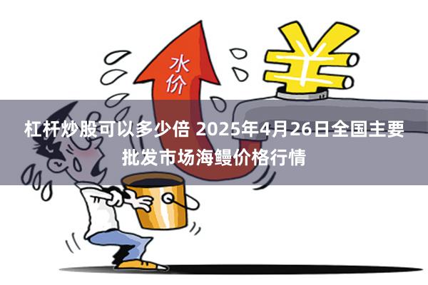杠杆炒股可以多少倍 2025年4月26日全国主要批发市场海鳗价格行情
