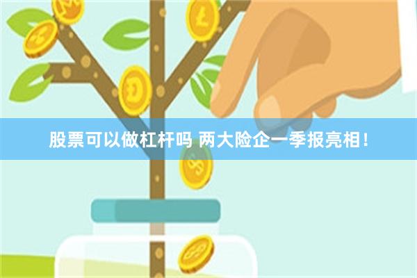 股票可以做杠杆吗 两大险企一季报亮相！