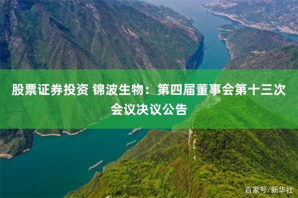 股票证券投资 锦波生物：第四届董事会第十三次会议决议公告